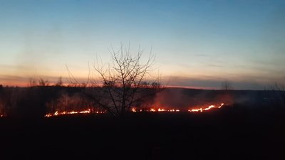На Франківщині за одну добу зафіксували 84 пожежі сухої трави