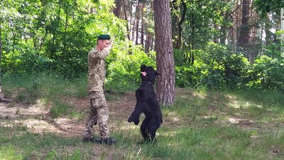 На Львівщині у кінологічному центрі провели випускні іспити На Львівщині у кінологічному центрі провели випускні іспити