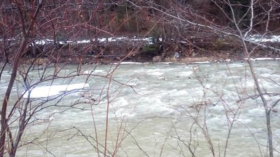 Прикарпатські надзвичайники витягли оленя з крижаної води Прикарпатські надзвичайники витягли оленя з крижаної води