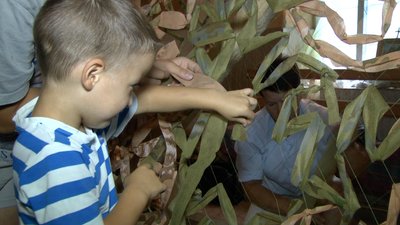 Жительки села на Вінниччині передали захисникам 150 маскувальних сіток Жительки села на Вінниччині передали захисникам 150 маскувальних сіток