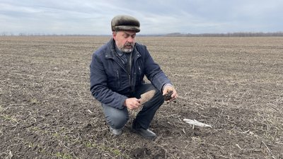Фермер Іван Биков на полі з озиминою на Чугуївщині, березень 2024 року Фермер Іван Биков на полі з озиминою на Чугуївщині, березень 2024 року