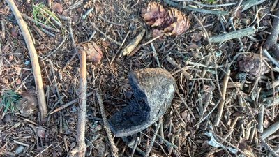 У Карпатах, де загинули двоє людей, вибухнув снаряд часів Першої світової війни – поліція У Карпатах, де загинули двоє людей, вибухнув снаряд часів Першої світової війни – поліція