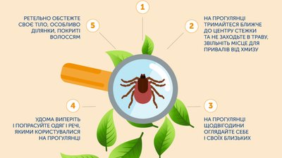 Як уберегтися від укусів кліщів. Поради ЦГЗ Як уберегтися від укусів кліщів. Поради ЦГЗ