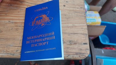 У Миколаєві відбулася благодійна виставка з прилаштування тварин У Миколаєві відбулася благодійна виставка з прилаштування тварин