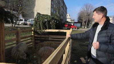 Шопка у Зборові Шопка у Зборові