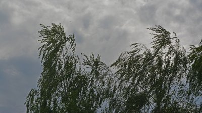 Погода в Луцьку 2-7 червня, погода в червні на Волині, циклон зі Скандинавії