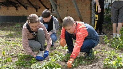 На подвір'ї вінницької школи висадили "квіти вдячності"