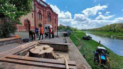 В Ужгороді на площі Фенцика впало дерево та пошкодило огорожу. Коли її відновлять В Ужгороді на площі Фенцика впало дерево та пошкодило огорожу. Коли її відновлять