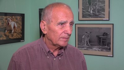"Собака друг людини": в Одесі представили фотовиставку, присвячену собакам