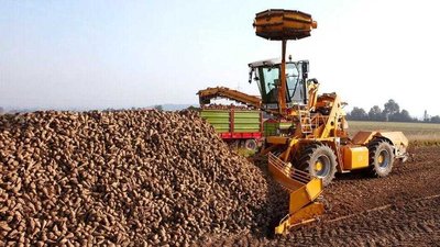 На Вінниччині 26-річна дівчина потрапила під навантажувач буряків
