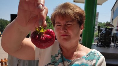 На Житомирщині пройшов фестиваль полуниці На Житомирщині пройшов фестиваль полуниці