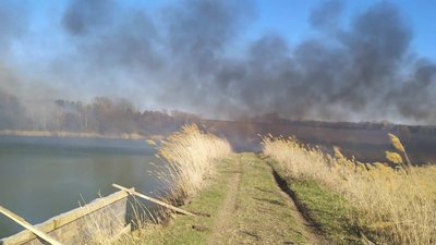 Поліцейські розслідують причини займання сухостоїв на Харківщині Поліцейські розслідують причини займання сухостоїв на Харківщині