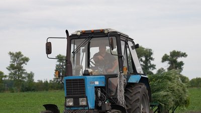Родина з Черкащини понад 30 роківи вирощує овочі