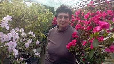 "У складні часи треба насолоджуватись красою". У ботсаду Кривого Рогу квітують азалії "У складні часи треба насолоджуватись красою". У ботсаду Кривого Рогу квітують азалії