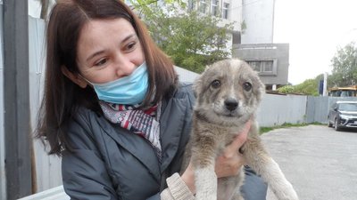 Тернополянка започаткувала у Facebook соціальну ініціативу "Happy Animals Тернопіль" Тернополянка започаткувала у Facebook соціальну ініціативу "Happy Animals Тернопіль"