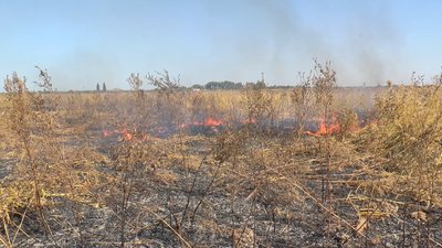 Близько трьох гектарів торф’яників горять у Новосанжарському районі Близько трьох гектарів торф’яників горять у Новосанжарському районі