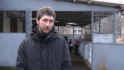 Сергій Безбородько