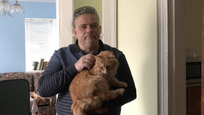 Історія з війни: чоловік із Краматорська в Черкаси вивіз сім'ю та 11 котів