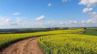 Чи знаходить сільська молодь щастя у великих містах Чи знаходить сільська молодь щастя у великих містах