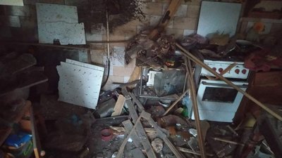 15 котиків з прифоронтового Оріхова нині мешкають в Німеччині 15 котиків з прифоронтового Оріхова нині мешкають в Німеччині