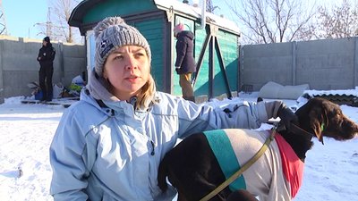 Поліцейські влаштували фотосесію з безпритульними тваринами Поліцейські влаштували фотосесію з безпритульними тваринами