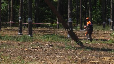 На Житомирщині визначили кращого лісоруба На Житомирщині визначили кращого лісоруба