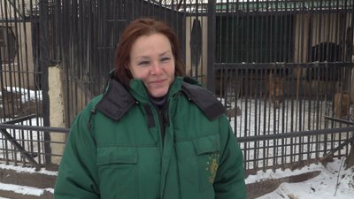 Ольга Павлова Ольга Павлова