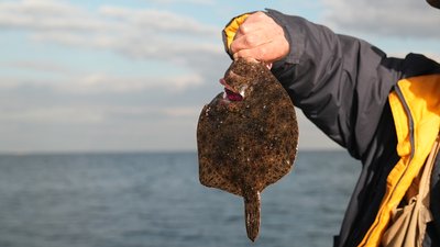 Цвітіння води, стоки та дрейфуючі міни: екологія Чорного моря очима експертів Цвітіння води, стоки та дрейфуючі міни: екологія Чорного моря очима експертів