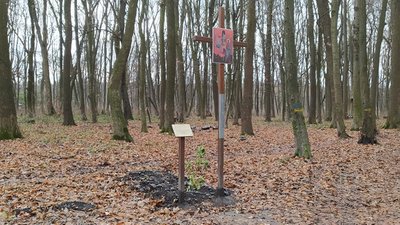 Хресна дорога у мікрорайоні Сихів: у Львові оголосять архітектурний конкурс