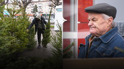 Продаж ялинок у Чернівцях