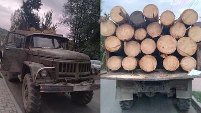Вантажівку з нелегальною деревиною затримали на Закарпатті