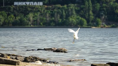 Погода Миколаїв 20 червня