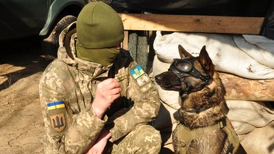 Пес Бакс служить у складі 123-ї миколаївської бригади тероборони Пес Бакс служить у складі 123-ї миколаївської бригади тероборони