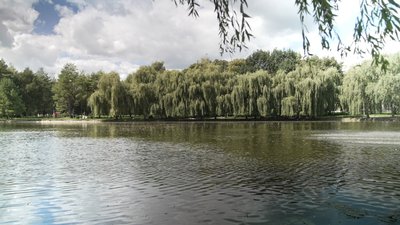 Яку погоду очікувати на Рівненщині