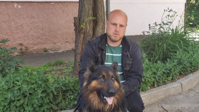 Волонтери з Полтави евакуювали собаку Рекса з Херсонщини Волонтери з Полтави евакуювали собаку Рекса з Херсонщини
