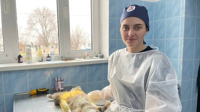 Підсумки 2023 року. У Миколаєві понад 700 безпритульних тварин знайшли новий дім Підсумки 2023 року. У Миколаєві понад 700 безпритульних тварин знайшли новий дім