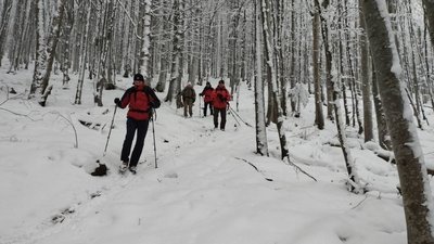 Гірський рятувальник Тарас Бринда про небезпеку, яку приховують зимові Карпати Гірський рятувальник Тарас Бринда про небезпеку, яку приховують зимові Карпати