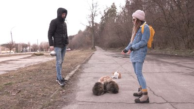 Як у Черкасах підтримують вуличних тварин під час війни Як у Черкасах підтримують вуличних тварин під час війни