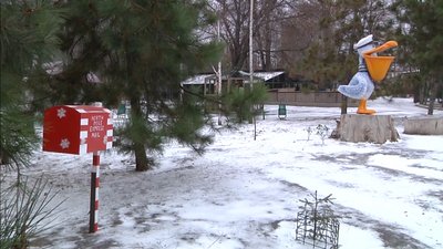 В одеському зоопарку запрацювала пошта Діда Мороза