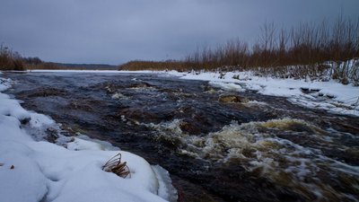 В Чорнобильській зоні стрімко піднявся рівень води на річці: яка причина В Чорнобильській зоні стрімко піднявся рівень води на річці: яка причина