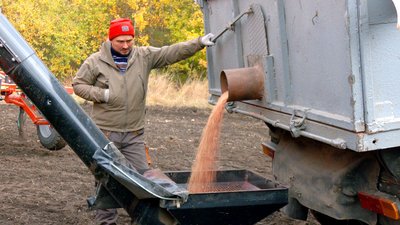 Планують засіяти 450 тисяч гектарів: на Вінниччині триває посівна озимини Планують засіяти 450 тисяч гектарів: на Вінниччині триває посівна озимини