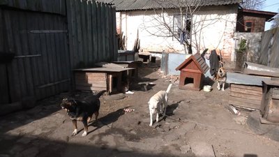 Загинула викладачка музшколи, двоє чоловіків — у лікарні: наслідки обстрілу Семенівки, яка двічі за день була під вогнем Загинула викладачка музшколи, двоє чоловіків — у лікарні: наслідки обстрілу Семенівки, яка двічі за день була під вогнем