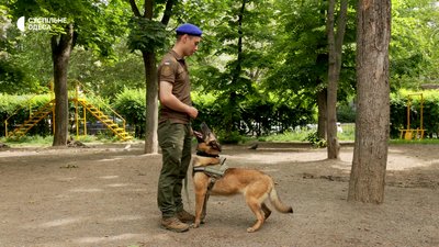 вівчарки нацгвардії вівчарки нацгвардії