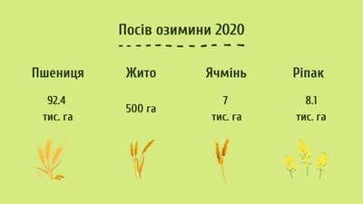 На Черкащині продовжуть збір урожаю та посадку озимини На Черкащині продовжуть збір урожаю та посадку озимини