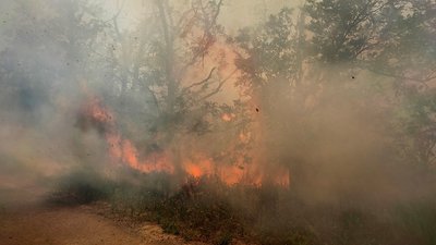 На Миколаївщині обстріли російських військ спричинили дві пожежі — ДСНС На Миколаївщині обстріли російських військ спричинили дві пожежі — ДСНС