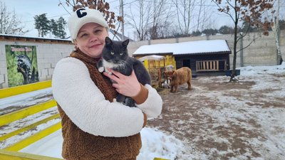 екоферма, Довжик, бичок, втік, придбали, зникаюча порода екоферма, Довжик, бичок, втік, придбали, зникаюча порода