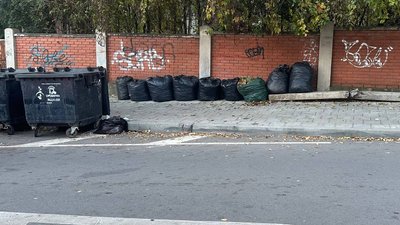Опале листя біля контейнерів зі сміттям на вулиці Федьковича у Чернівцях