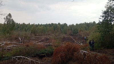 До вечора рятувальники ліквідують загоряння торфів — ДСНС До вечора рятувальники ліквідують загоряння торфів — ДСНС