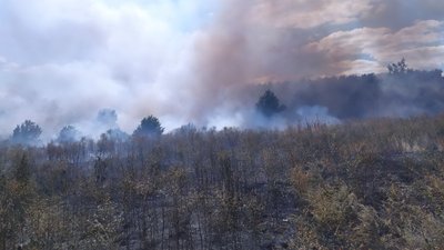 Харківські рятувальники загасили 18 пожеж в лісах та полях за добу Харківські рятувальники загасили 18 пожеж в лісах та полях за добу