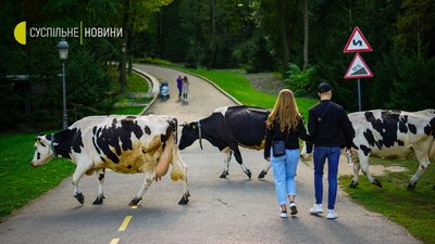 Межигір'я сьогодні. Фоторепортаж Межигір'я сьогодні. Фоторепортаж